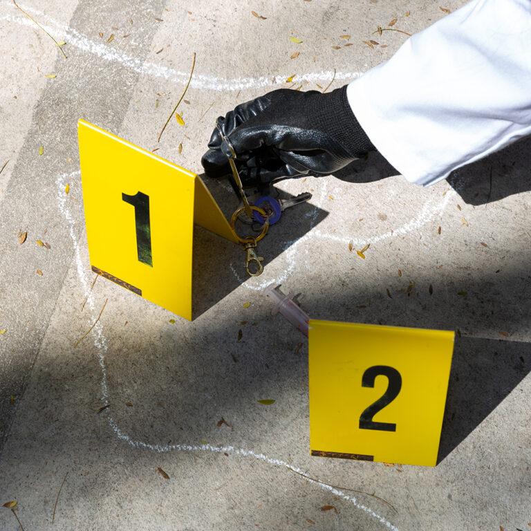 Etapas de la Cadena de Custodia