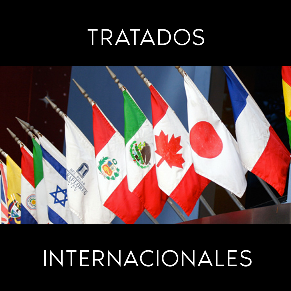 Tratados Internacionales de México Colegio Jurista Blog Tratados Internacionales de México Colegio Jurista Blog